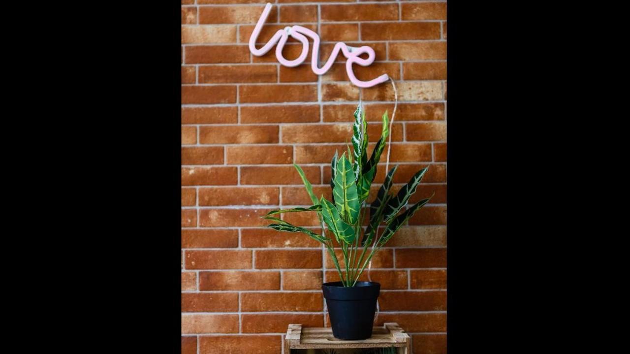 Apartamento Semi-Industrial Palacio Castilla เฮเรซ เด ลาฟรอนเตรา ภายนอก รูปภาพ